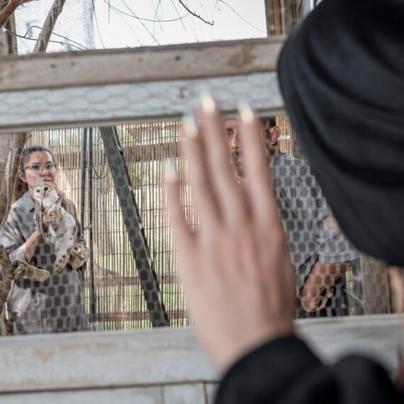Jiran, 30 years old, and her husband Isaac, 33 years old, are members of the owl care team. They have equipped part of their eco-lodge for this purpose. Mandana is holding the owl in her arms to examine its broken wing and take it to the vet for further treatment. Oct  ,12 , 2024 .Gorgan, Iran.